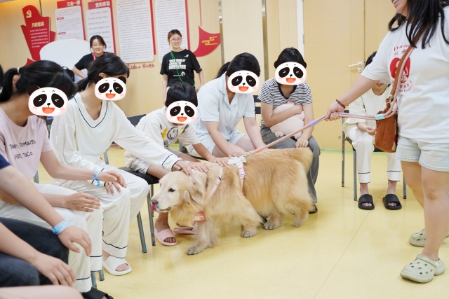 DSC00350_副本.jpg